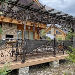 Luxury patio roofing, railing and lighting with different forged accessories in artistic style