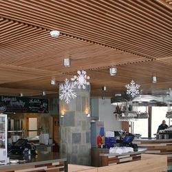 Leuchte aus Edelstahl  Bar Rotunda, Skigebiet Chopok  Innenleuchten, geschmiedet als einzigartige Beleuchtung