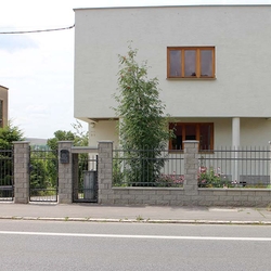 Schlichter, geschmiedeter Zaun und Tor eines Familienhauses  schlichter, moderner Stil
