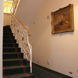 Wrought iron railings - 19th century villa Wrought iron railings - 19th century villa