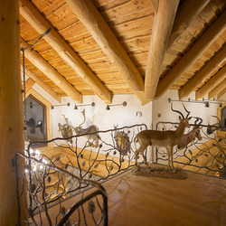 Luxurious interior railing - gallery Luxurious interior railing - gallery