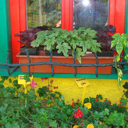 Ručně kovaný držák květináčů na okně ve venkovském stylu - okenní ohrádka na květiny vyrobena v UKOVMI