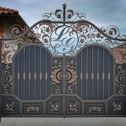 Luxury wrought iron gate in a family house