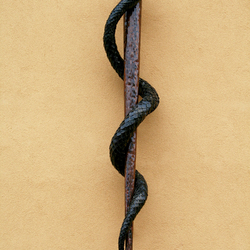 Ručně zhotoven had na holi jako symbol lékařství