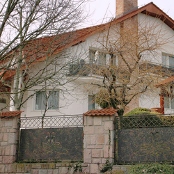 A modern wrought iron fence 