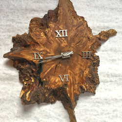 Horloge design - horloge murale de luxe, conue par la nature elle-même