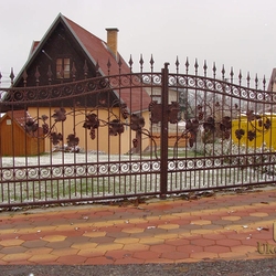 Schmiedeeisernes Tor „bewachsen“ mit Weinrebe Schmiedeeisernes Tor „bewachsen“ mit Weinrebe