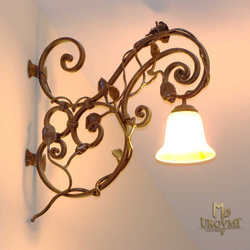 Interior wrought iron lights