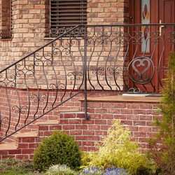 A wrought iron railing - house entrance