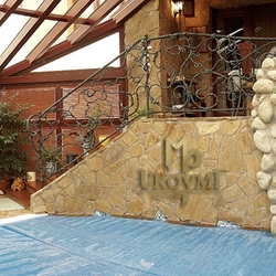A hand wrought iron railing - roots A hand wrought iron railing - roots