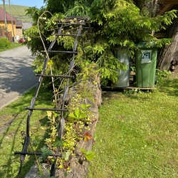 Ručne kovaná pergola na kvety slúži ako oplotenie Ručne kovaná pergola na kvety slúži ako oplotenie