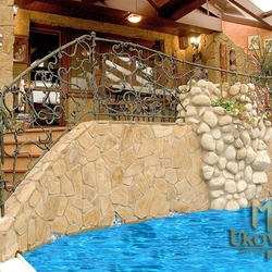 A hand wrought iron railing - roots A hand wrought iron railing - roots