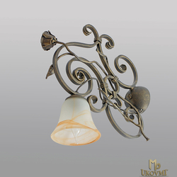 A rustic wall lamp - romantic light filled with roses