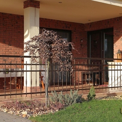 Schmiedeeisernes Terrassengeländer Schmiedeeisernes Terrassengeländer