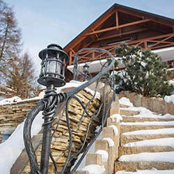 Chalet sous la forêt